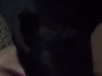 Dog Wants To Fuck Wife
