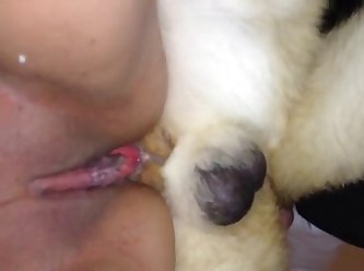 Dog Fuck Wife Sex