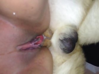 Dog Fuck Wife Sex