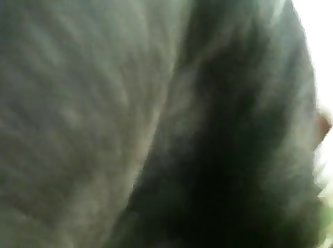 Get My Dog To Fuck Me