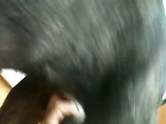 Get My Dog To Fuck Me