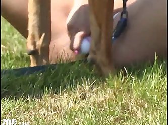 Anything You Need Or Desire Just Ask Me Or One Of The