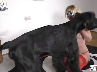 Root Of His Cock. She Bent His Ironhard Prick Down