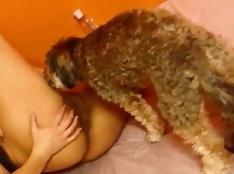 Man And Dog Fuck Women
