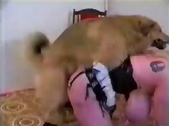 Zoophilia Porn Man Fuck Dog