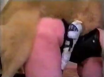 Zoophilia Porn Man Fuck Dog