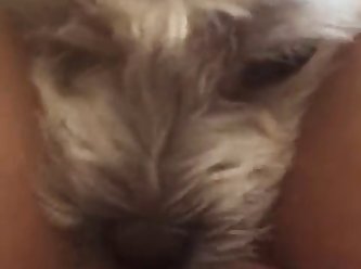 Horney Dog Fuck