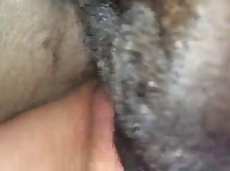 Kc Dog Fuck