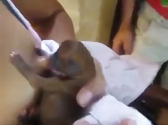 Dog Fuck A Dog