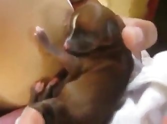 Dog Fuck A Dog