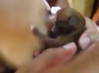 Dog Fuck A Dog