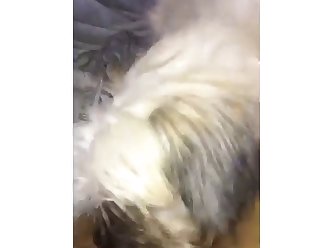 Aroused Man Fuck Dog