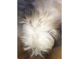 Aroused Man Fuck Dog