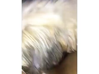 Aroused Man Fuck Dog