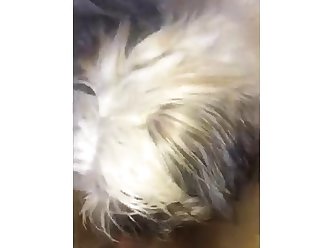 Aroused Man Fuck Dog