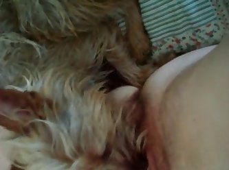 Dog Fuck Blowjob