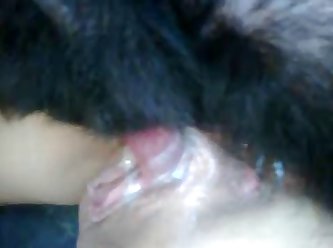 Forced To Fuck Her Dog