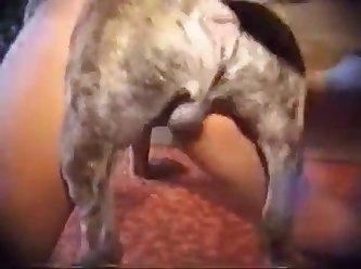 Asian Man Fuck Dog