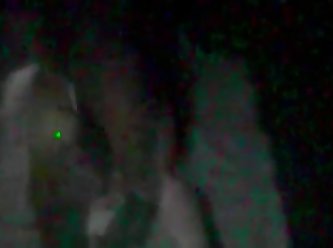 Xnxx Men Fuck Dog