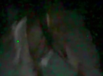 Xnxx Men Fuck Dog