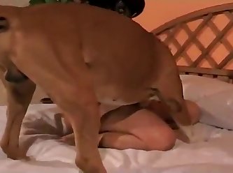 Listen To Blink 182 Fuck A Dog