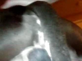 Dog Fuck Henti