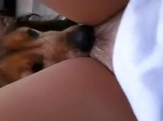 Man Fuck A Dog Porn