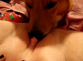 Dog Fuck Foot