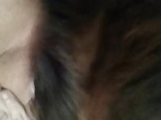 Tiny Dog Fuck Pussy
