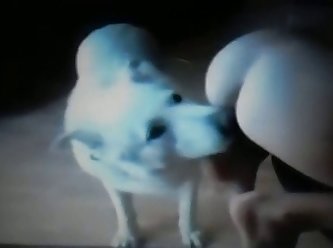 He Makes Her Fuck The Dog