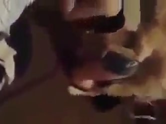 An Fuck Dog