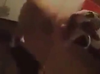 An Fuck Dog