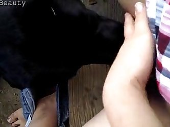 3d Dog Fuck Gifs