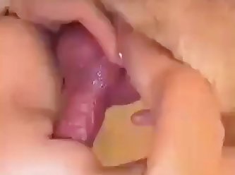 You Can't Fuck That Lil Ass Dog