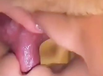 You Can't Fuck That Lil Ass Dog