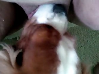Two Guys Fuck A Dog Porn