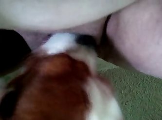 Two Guys Fuck A Dog Porn