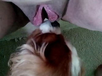 Two Guys Fuck A Dog Porn