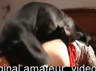 Dog Fuck Shemales
