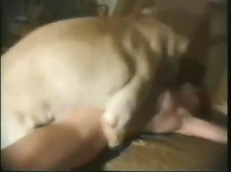 Thai Dog Fuck