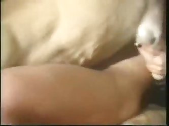 Thai Dog Fuck