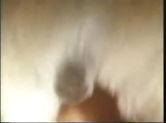 Thai Dog Fuck