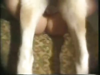 Thai Dog Fuck