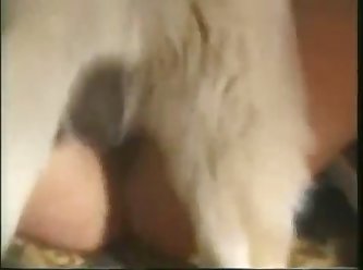 Thai Dog Fuck