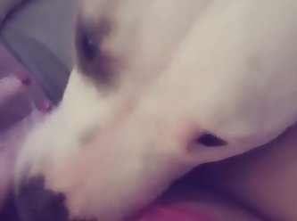 Dog And Man Fuck Girl At The Same Time