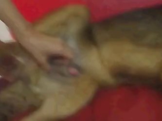 Moan Dog Fuck