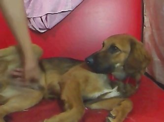 Moan Dog Fuck