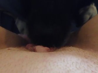 Latina Fuck A Dog