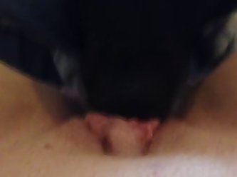Latina Fuck A Dog