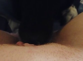Latina Fuck A Dog